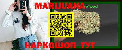 прущие крисы Гагарин
