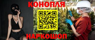 мяу мяу мука Гатчина